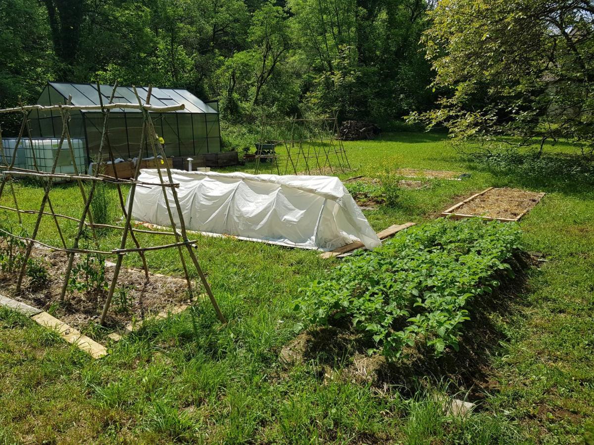 Le Moulin De Jules Et Akasha Bed & Breakfast Murat Exterior foto